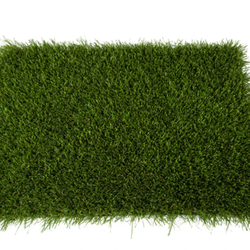 Yalena Verdite Monobacking photo2